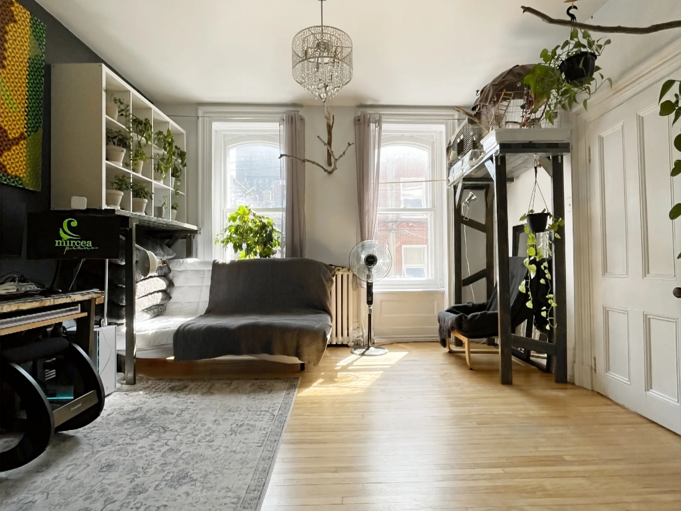Overview of the piano studio: instrument, plants, shelves and large windows bathed in natural light.