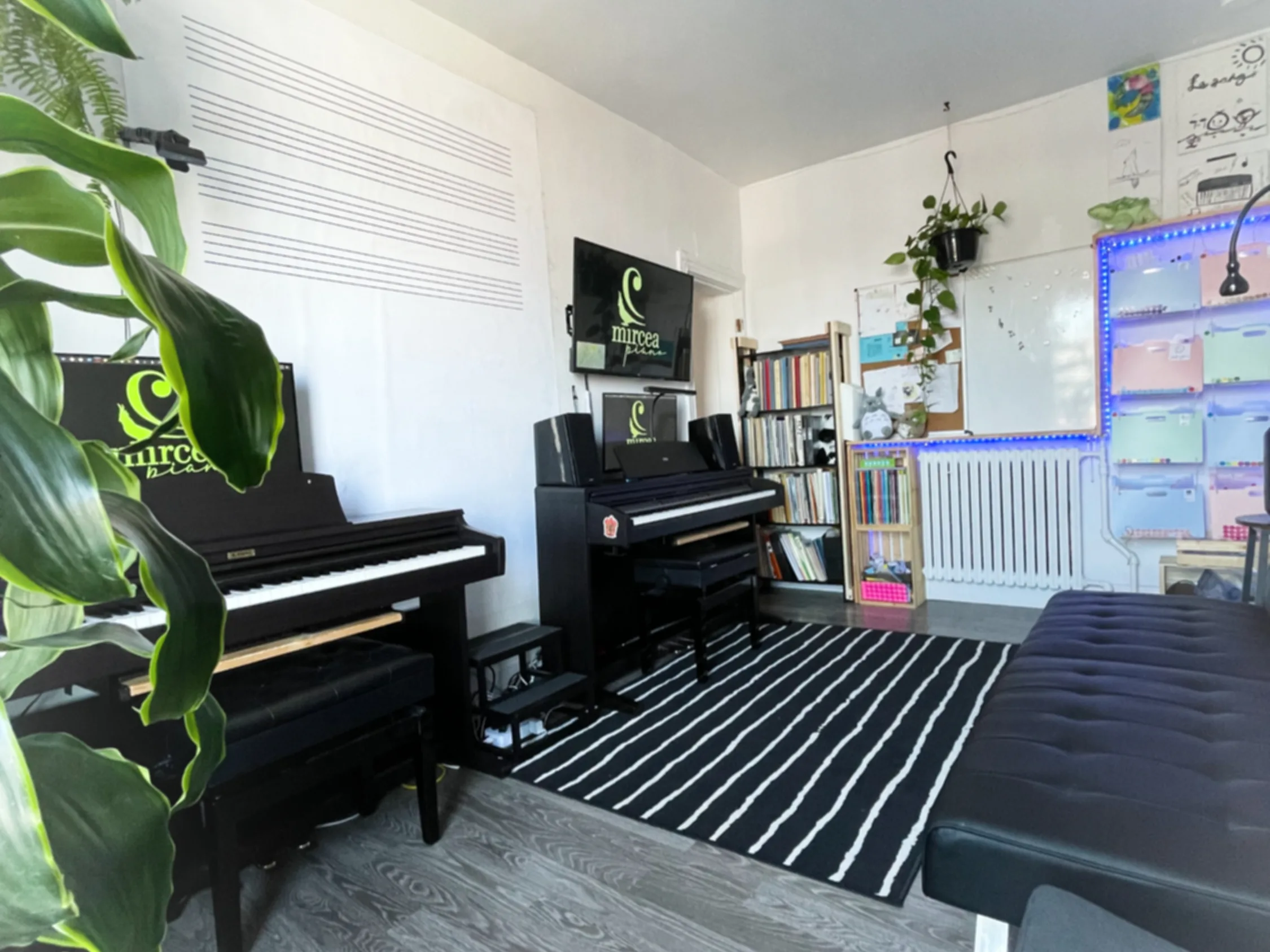 Detail of the studio's layout, with its furniture and natural light.