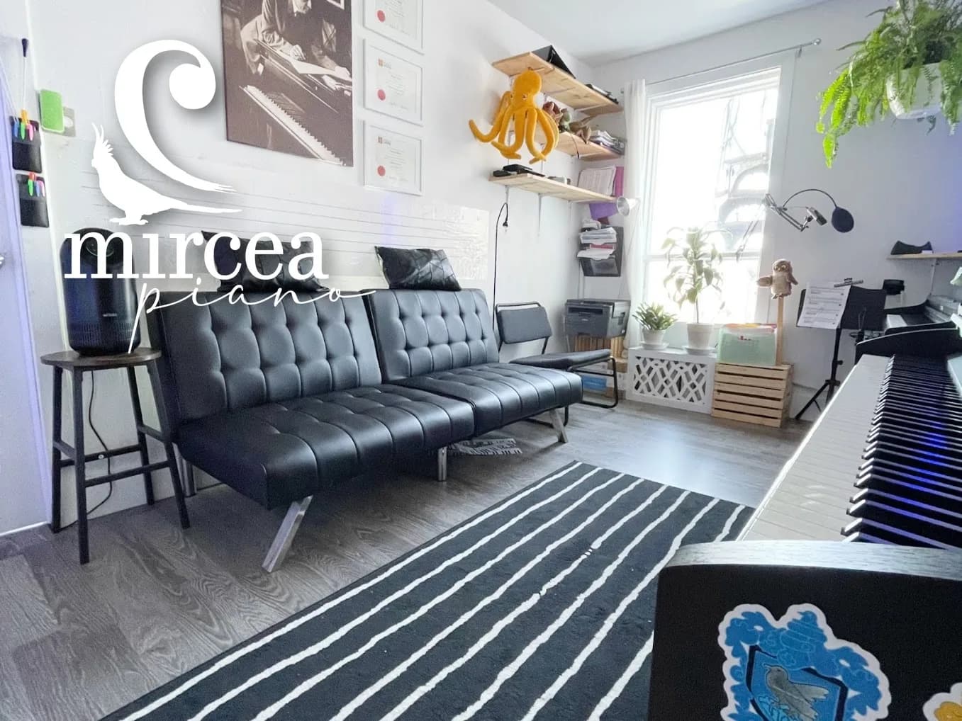 The studio's lounge corner, with the couch, plants and piano in the background.